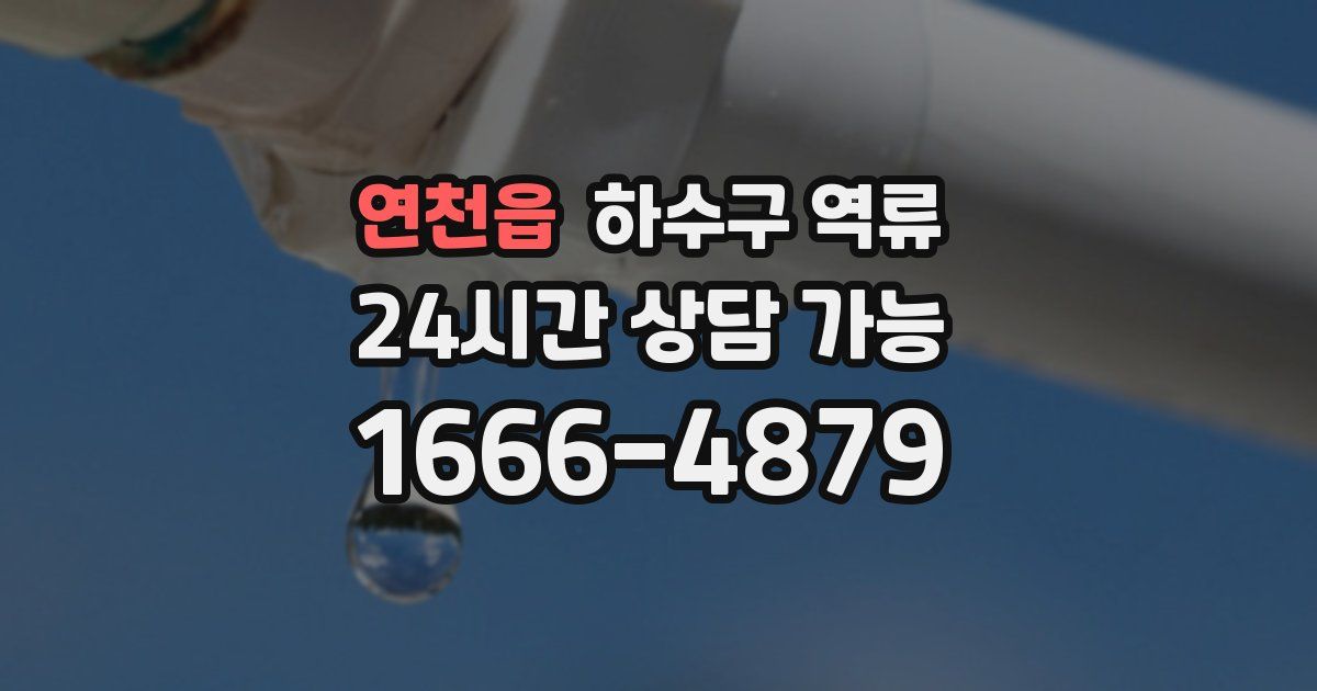 연천읍 하수구 역류