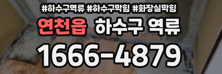 연천읍 하수구 역류