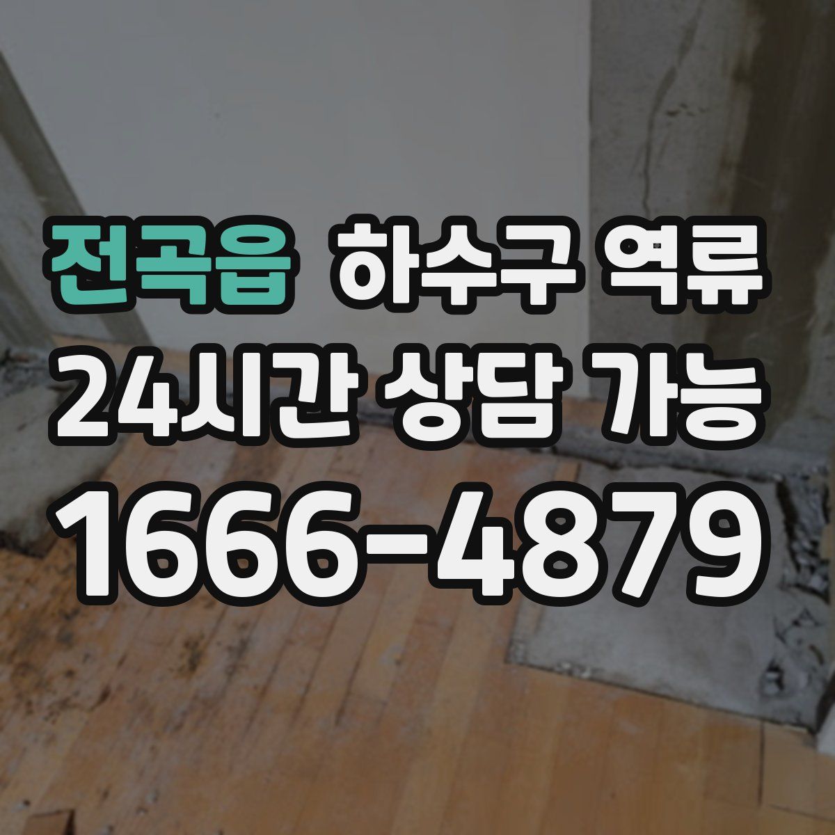 전곡읍 하수구 역류