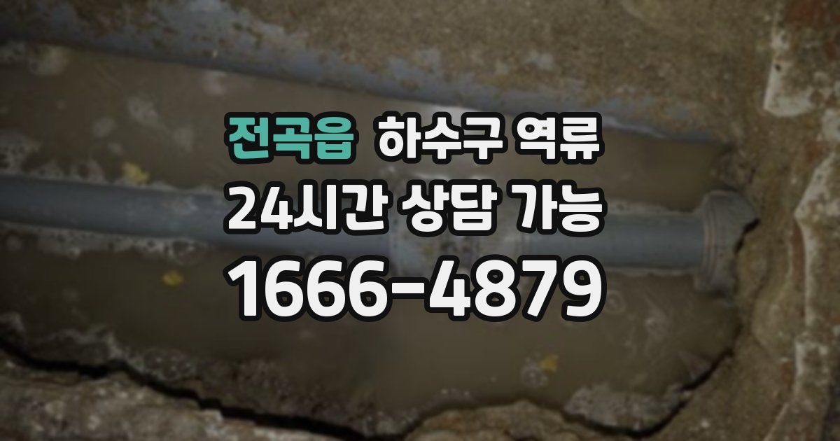 전곡읍 하수구 역류