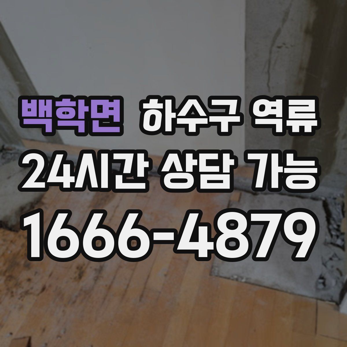 백학면 하수구 역류