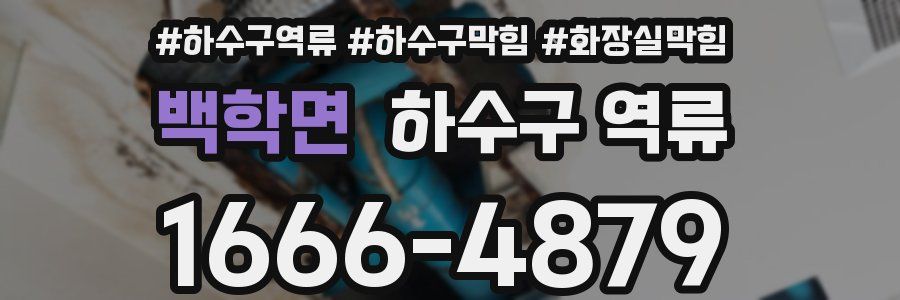 백학면 하수구 역류