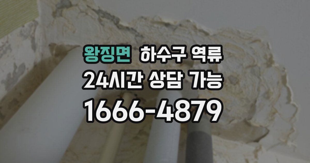 왕징면 하수구 역류