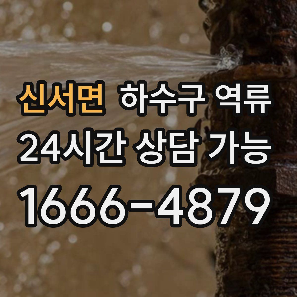 신서면 하수구 역류