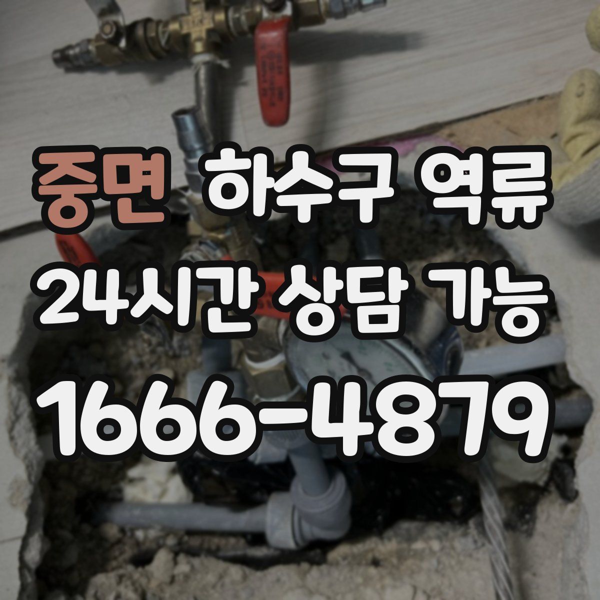 중면 하수구 역류