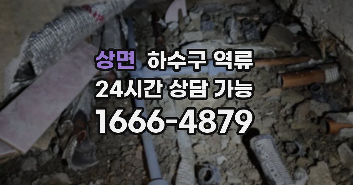 상면 하수구 역류