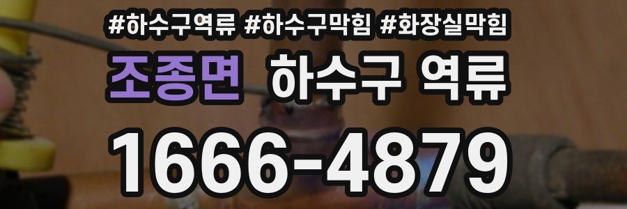 조종면 하수구 역류