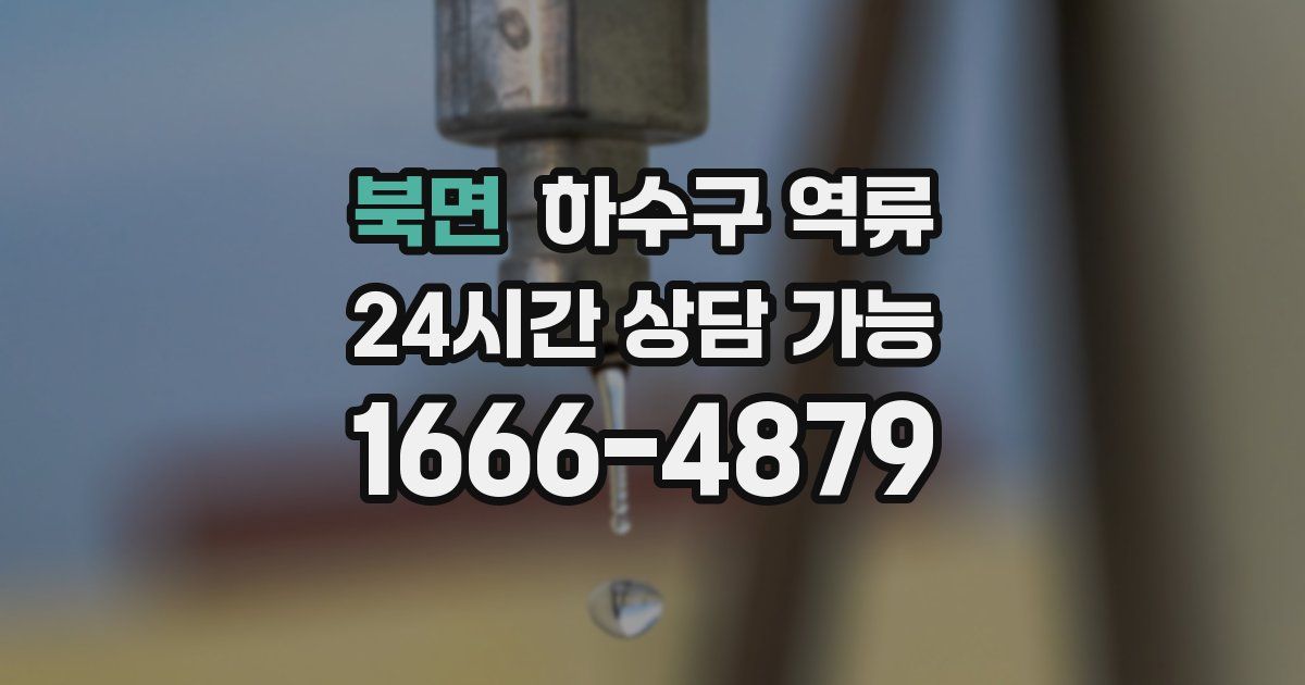 북면 하수구 역류