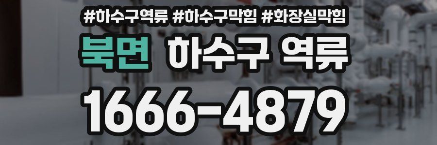 북면 하수구 역류