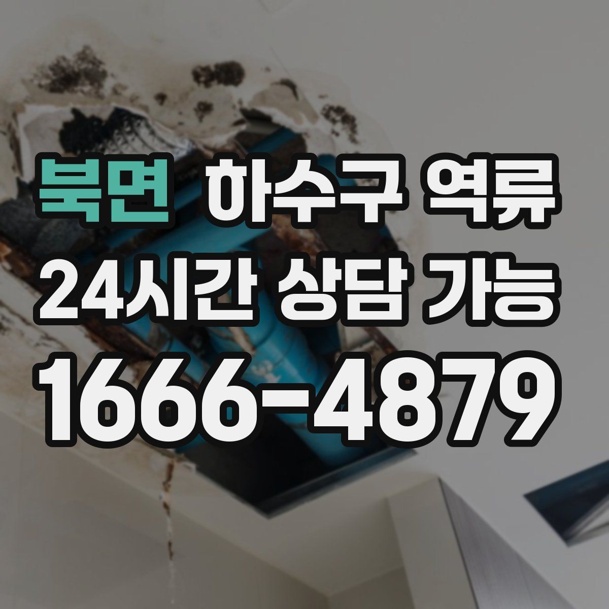 북면 하수구 역류