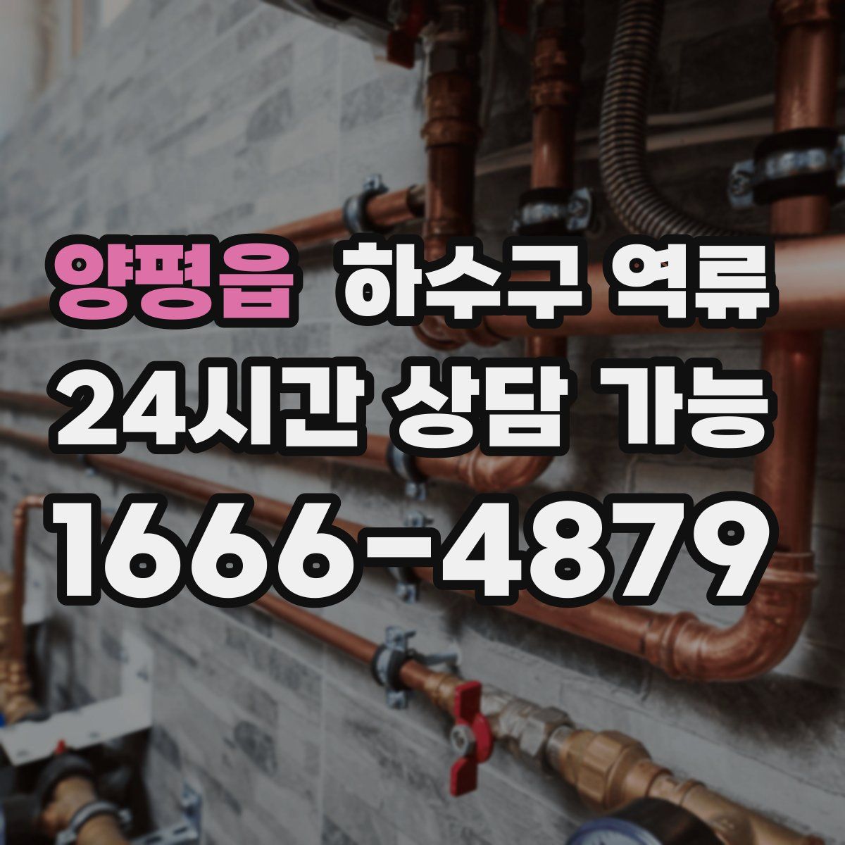 양평읍 하수구 역류