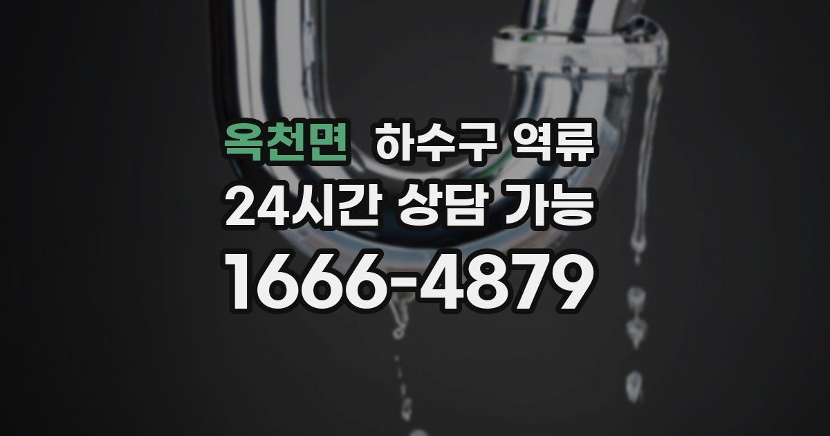 옥천면 하수구 역류