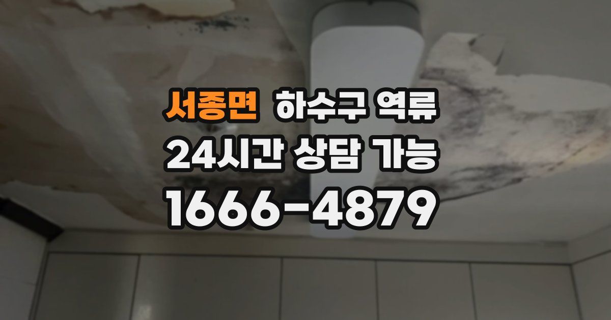 서종면 하수구 역류