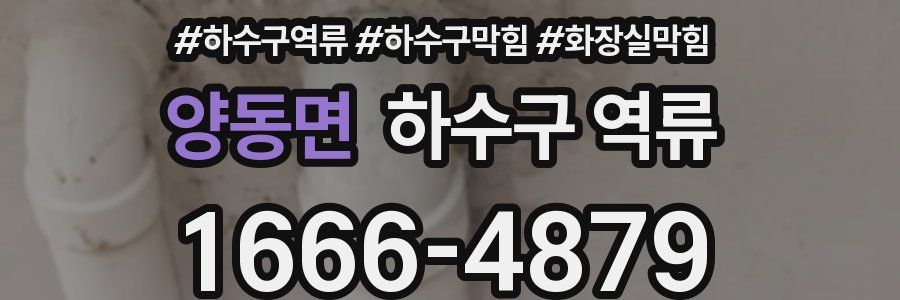 양동면 하수구 역류