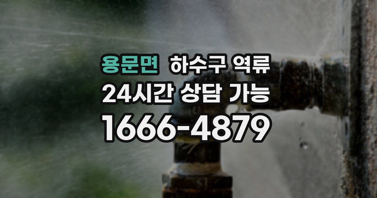 용문면 하수구 역류