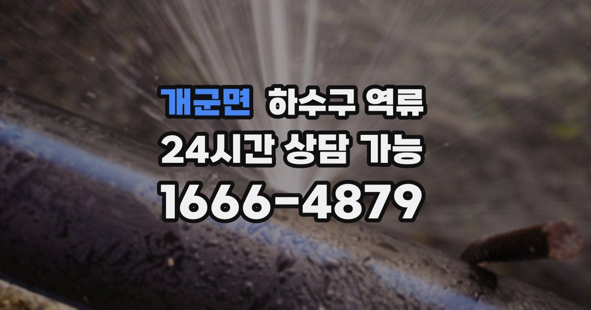 개군면 하수구 역류