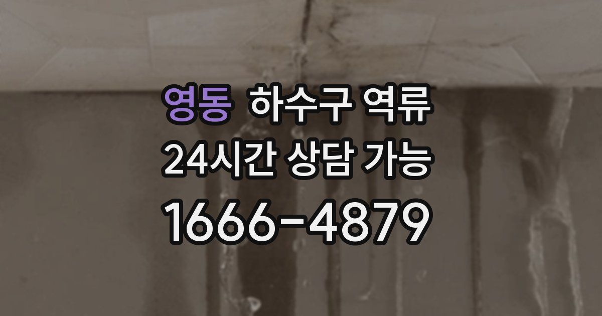 영동 하수구 역류