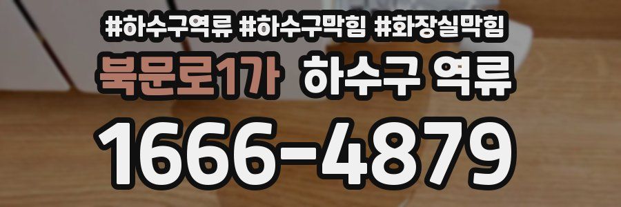 북문로1가 하수구 역류