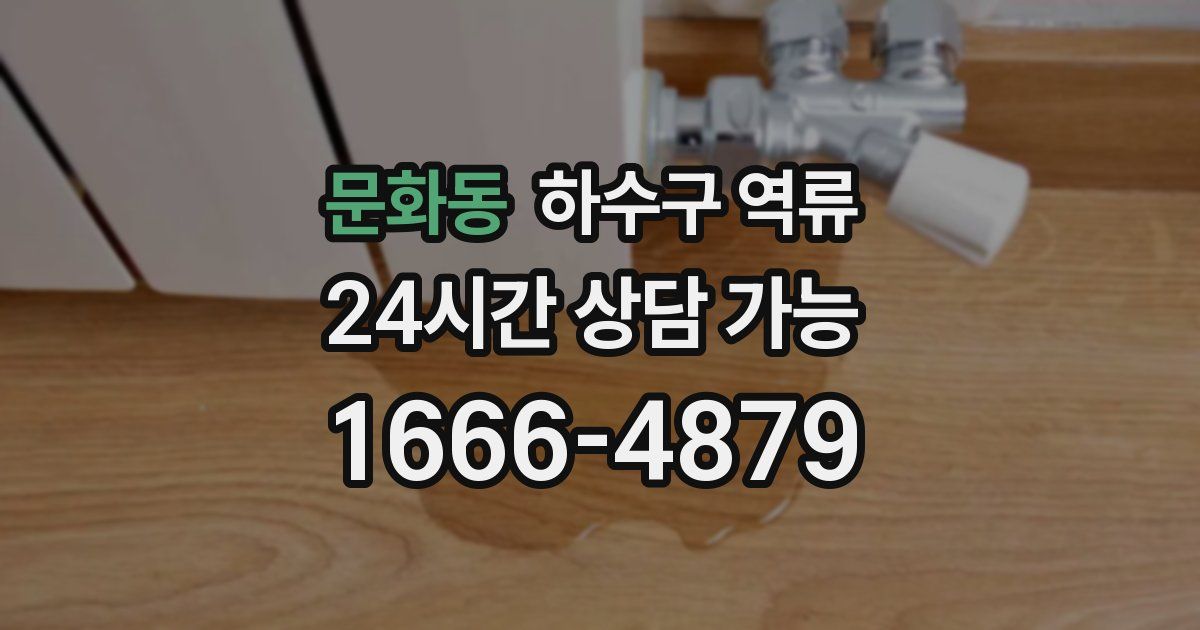 문화동 하수구 역류