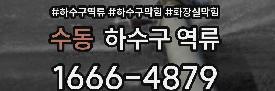 수동 하수구 역류