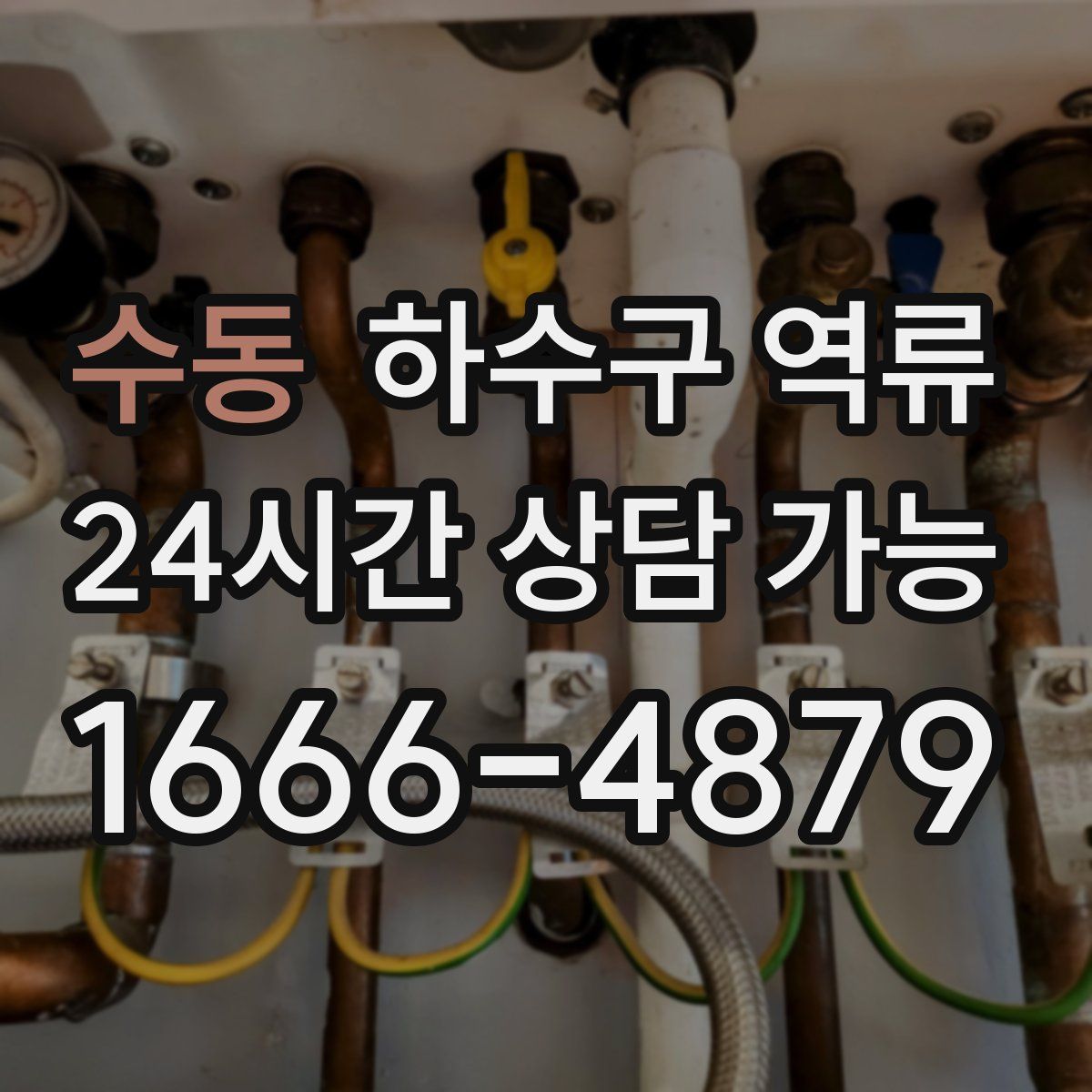 수동 하수구 역류