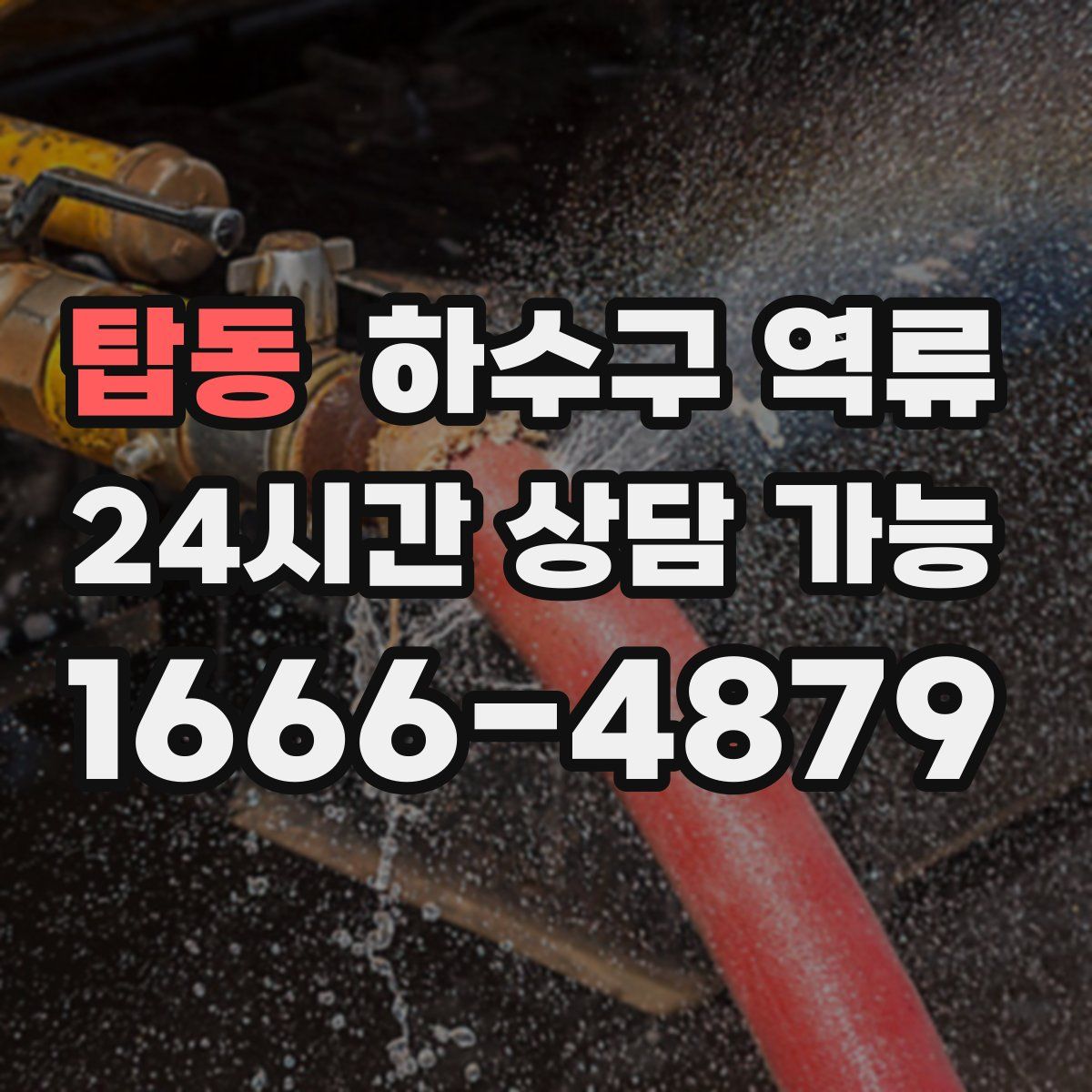 탑동 하수구 역류