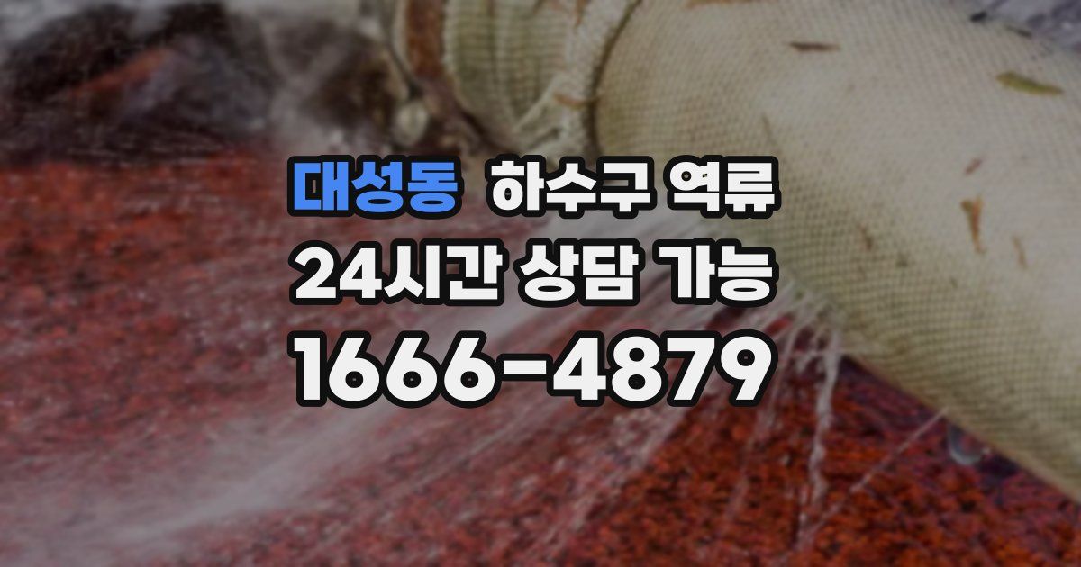 대성동 하수구 역류