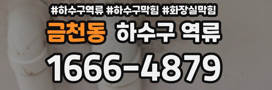 금천동 하수구 역류