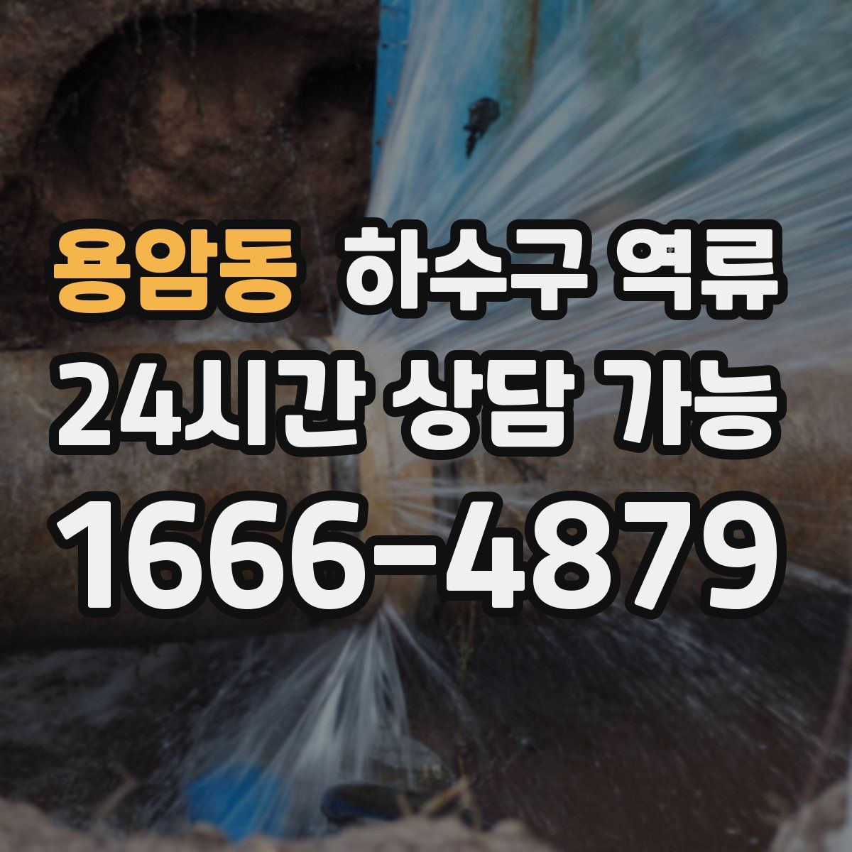 용암동 하수구 역류