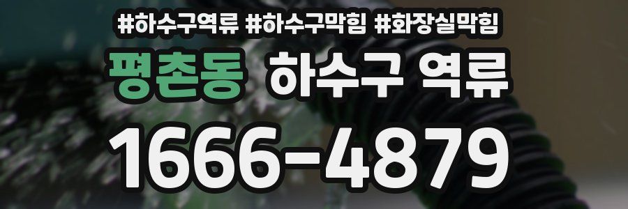 평촌동 하수구 역류