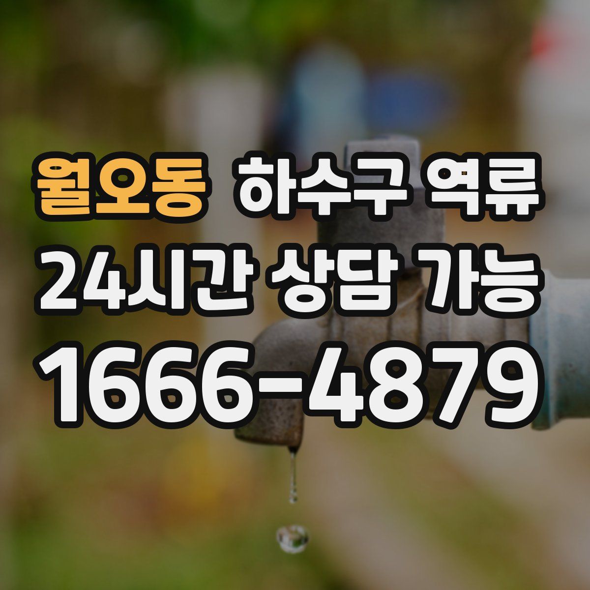 월오동 하수구 역류