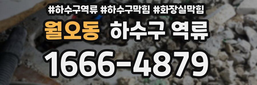 월오동 하수구 역류