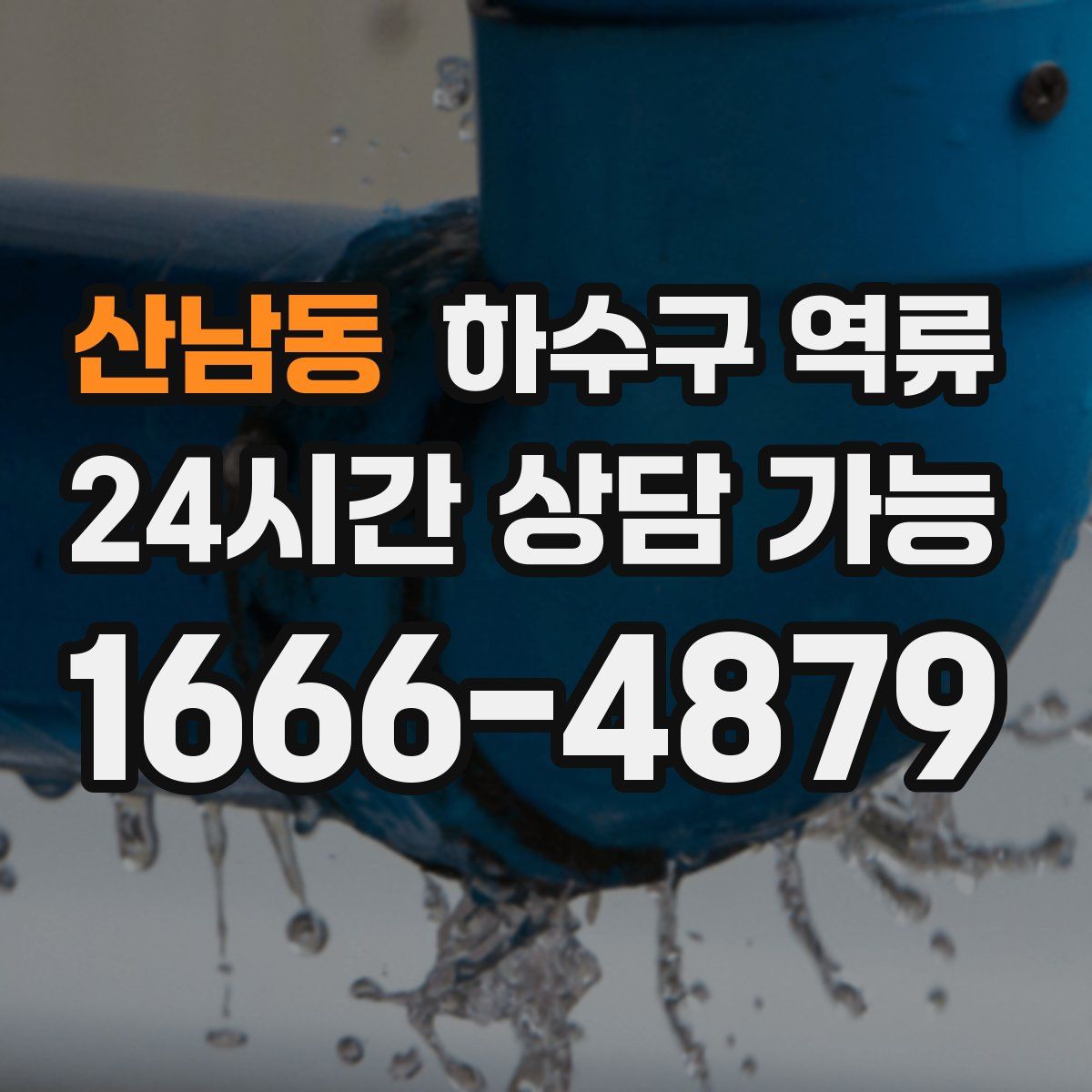 산남동 하수구 역류