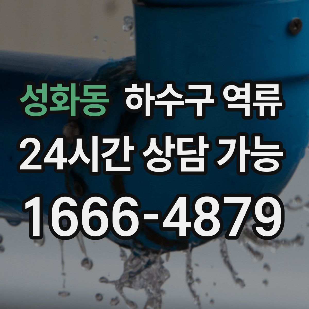 성화동 하수구 역류