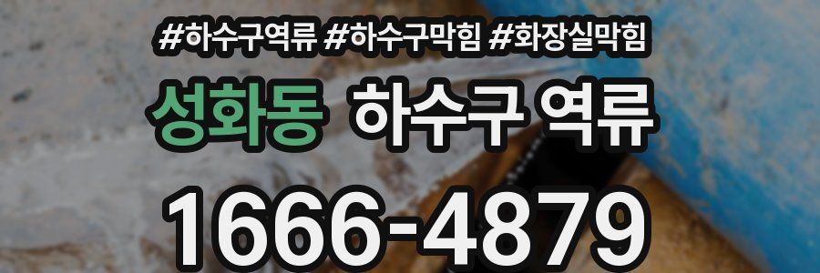 성화동 하수구 역류