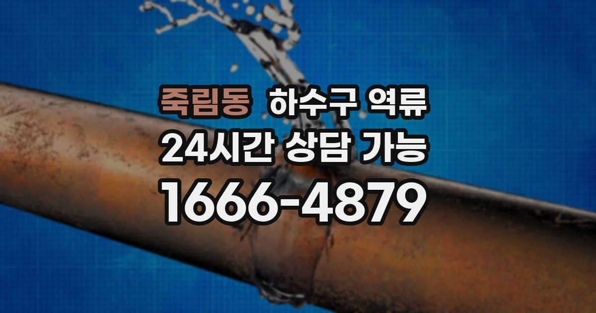 죽림동 하수구 역류