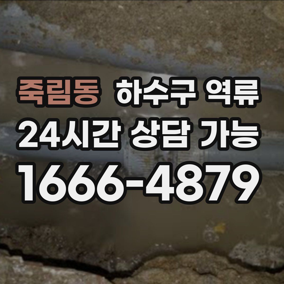 죽림동 하수구 역류