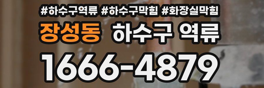 장성동 하수구 역류