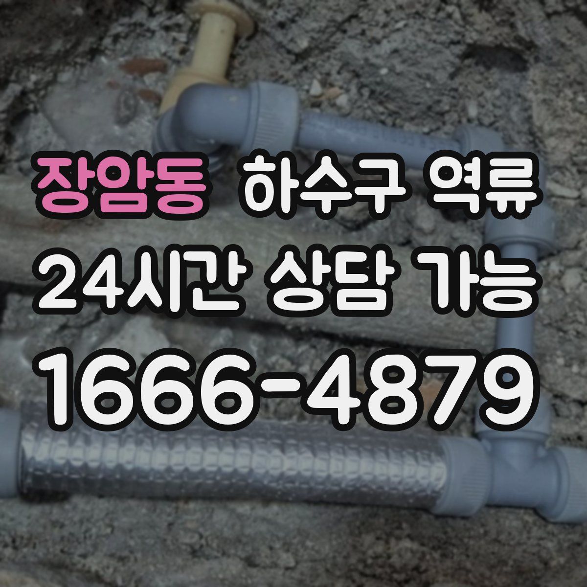 장암동 하수구 역류