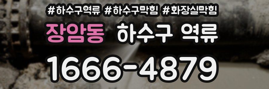 장암동 하수구 역류