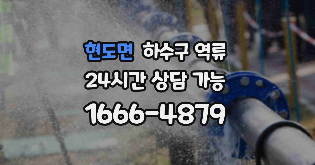 현도면 하수구 역류