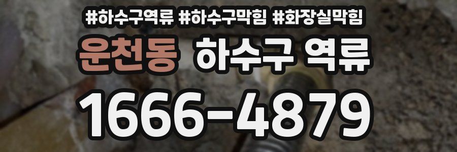 운천동 하수구 역류