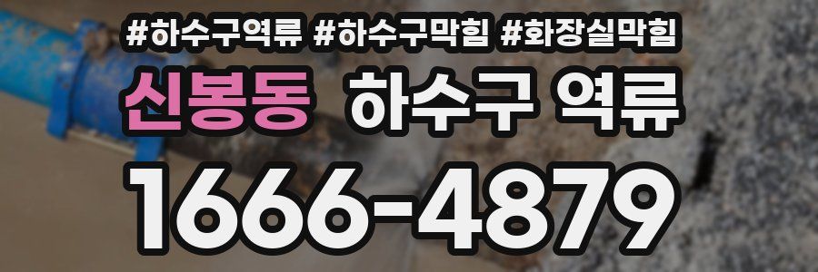 신봉동 하수구 역류