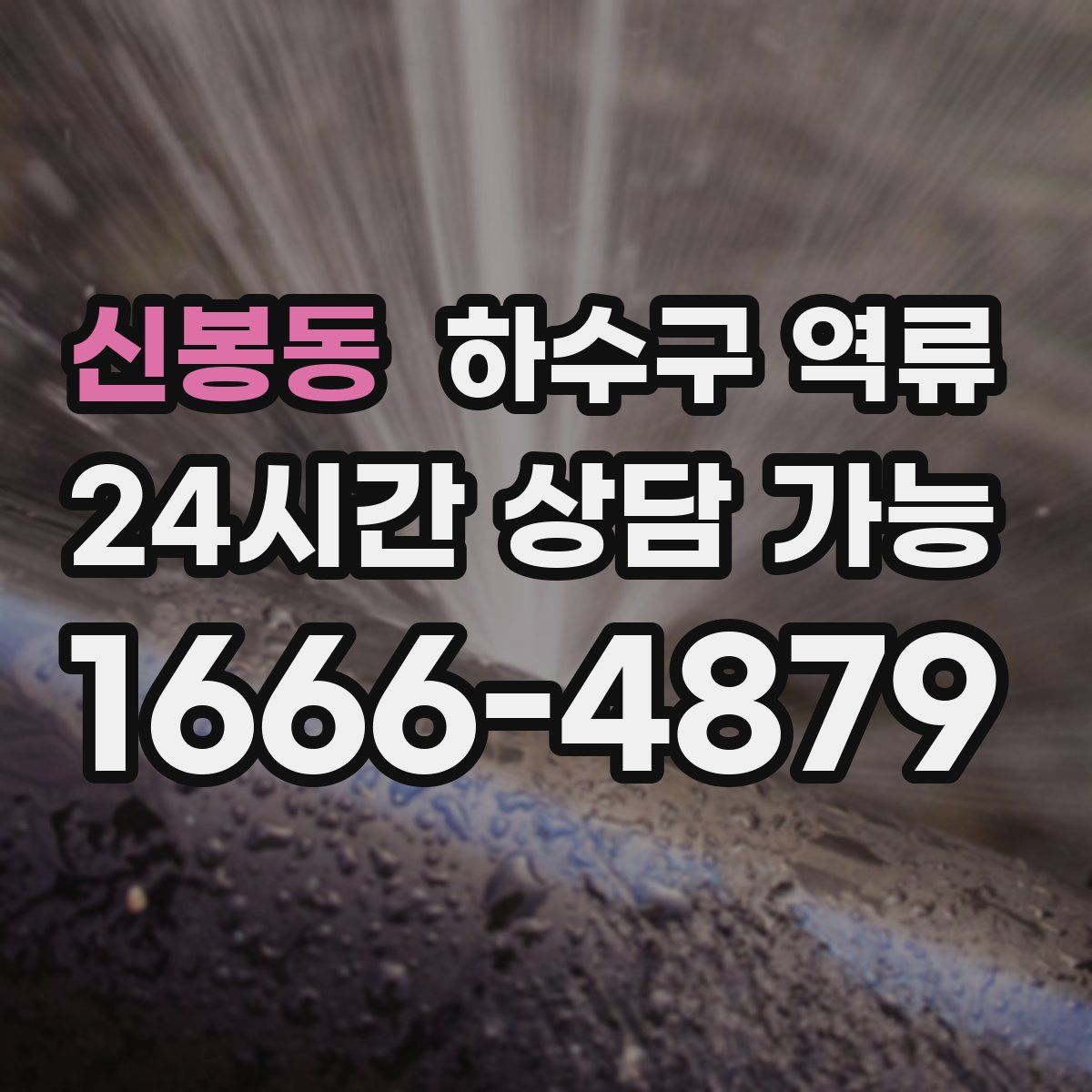 신봉동 하수구 역류