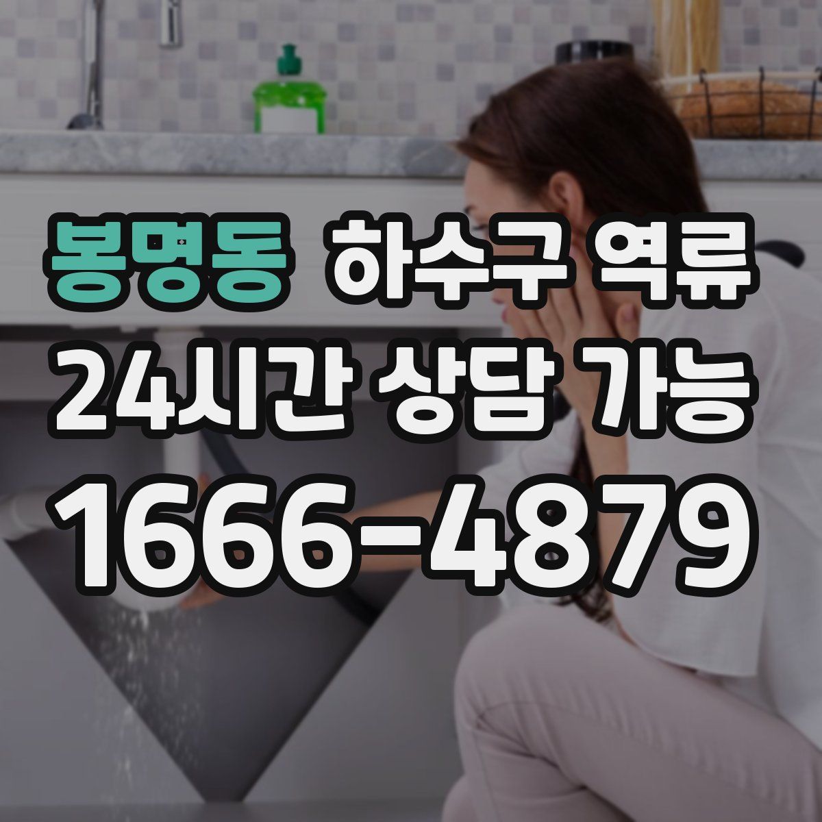 봉명동 하수구 역류