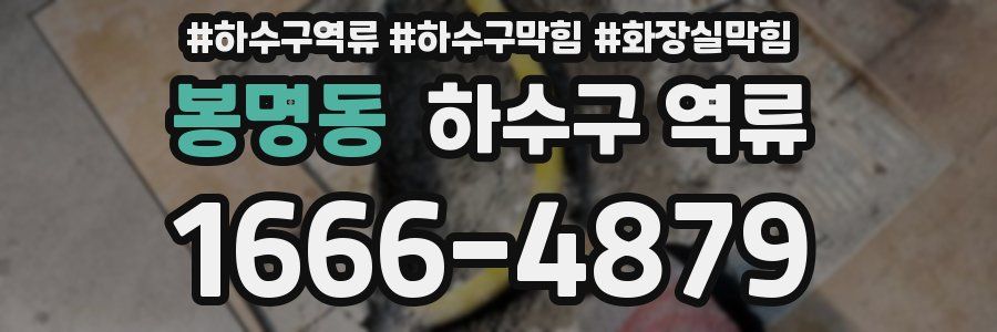 봉명동 하수구 역류