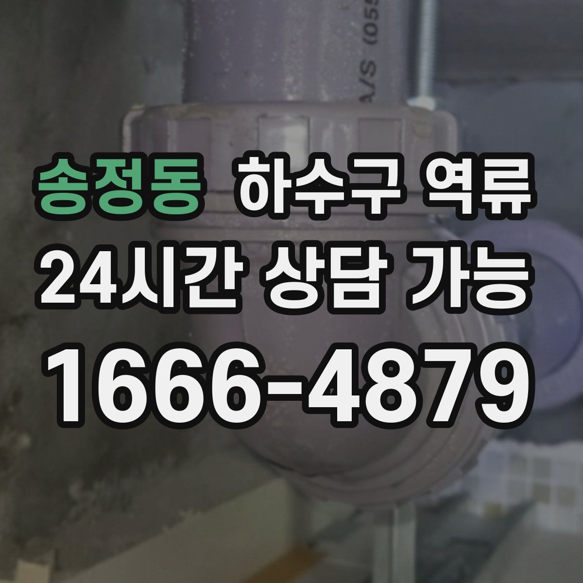 송정동 하수구 역류