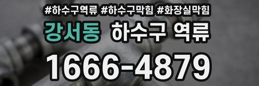 강서동 하수구 역류