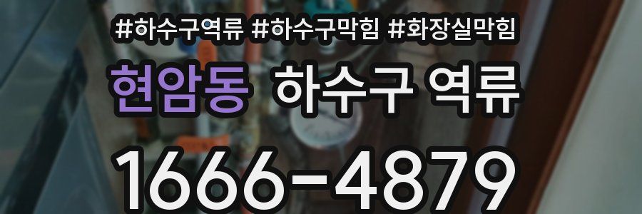 현암동 하수구 역류