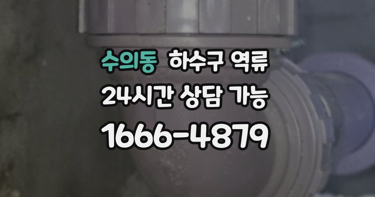 수의동 하수구 역류